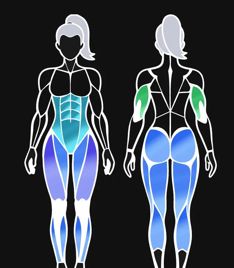 Diagrama corporal femenino de Symmetry con los músculos coloreados según su rango
