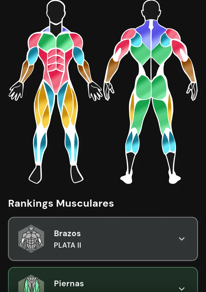 Rankings musculares de Symmetry con el grupo de brazos en Plata II bajo el diagrama corporal